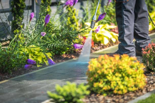 Best Sidewalk and Walkway Cleaning  in North Babylon, NY